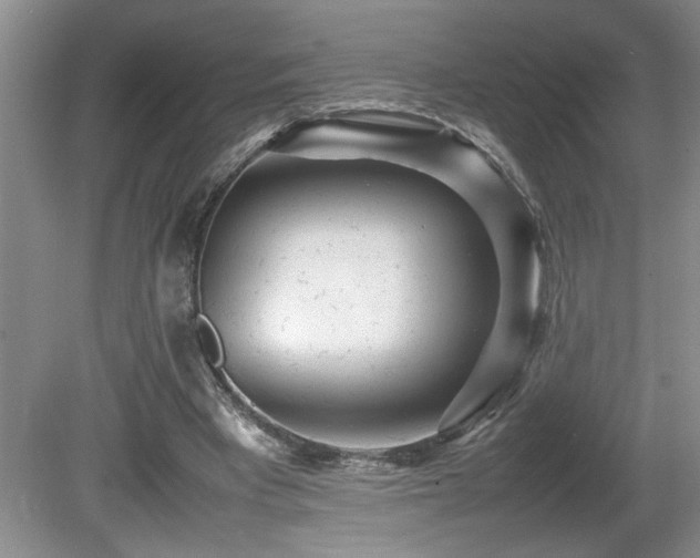 X0000080680393200612151228