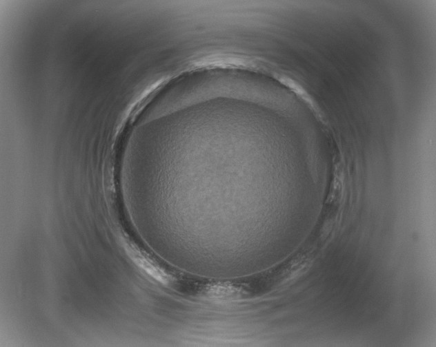 X0000080680399200612151228