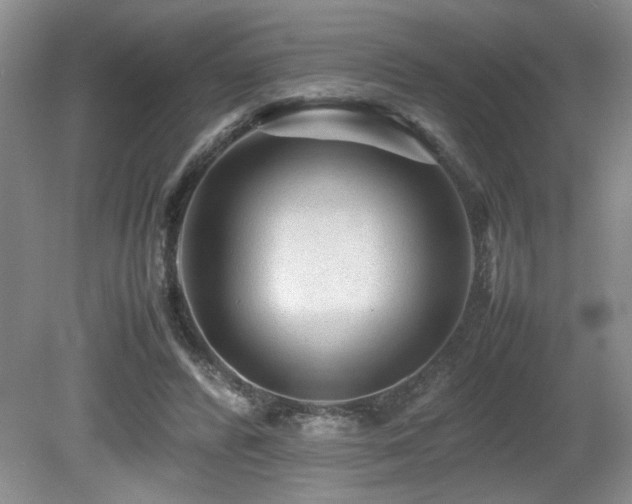 X0000080680400200612151228