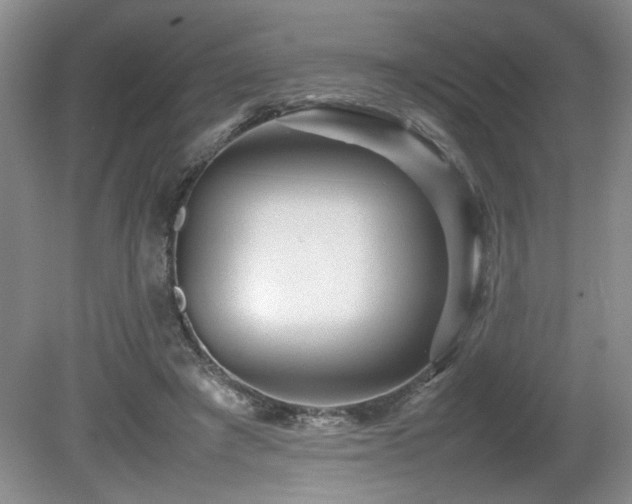 X0000080680401200612151228