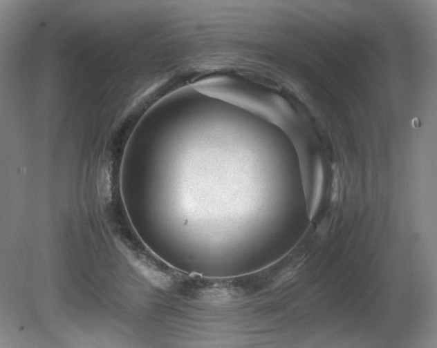 X0000080680404200612151228