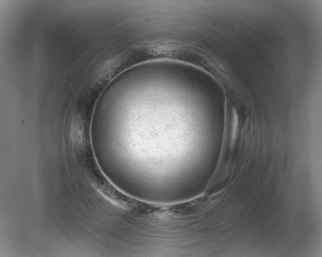 X0000080680408200612151228