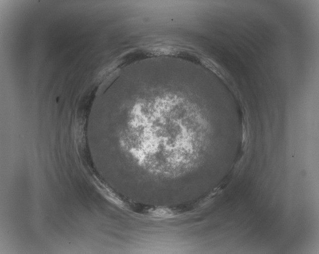 X0000080680409200612151228