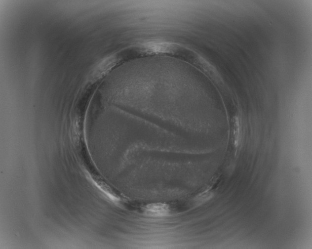 X0000080680410200612151228