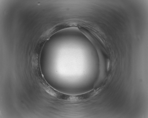 X0000080680413200612151228