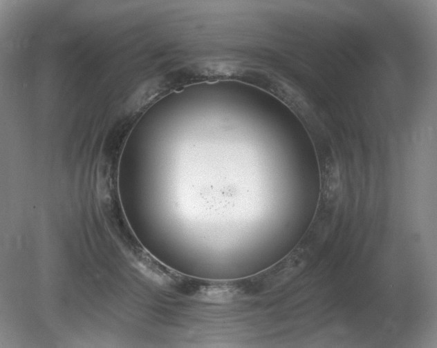 X0000080680414200612151228
