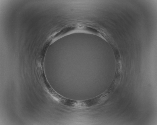 X0000080680415200612151228
