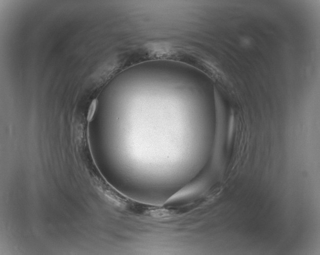 X0000080680417200612151228