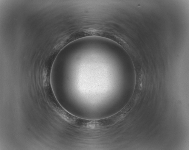 X0000080680420200612151228