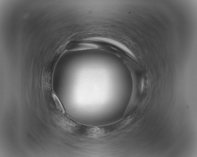 X0000080680421200612151228