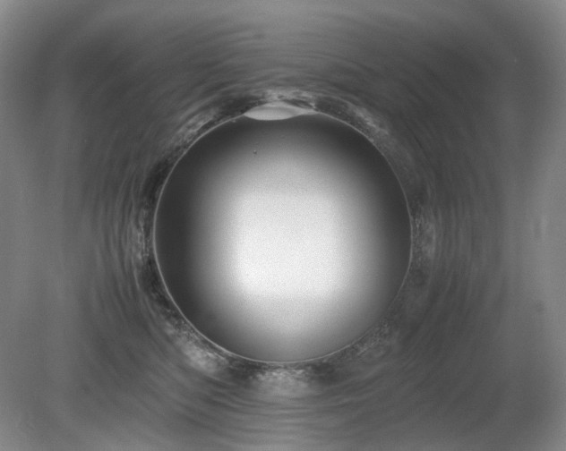 X0000080680422200612151228