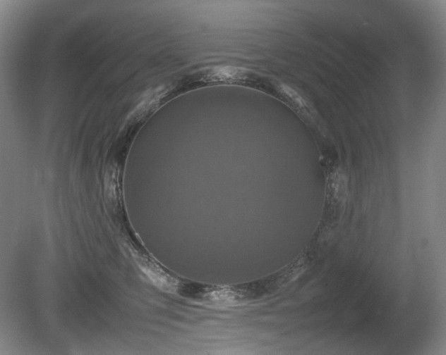 X0000080680423200612151228