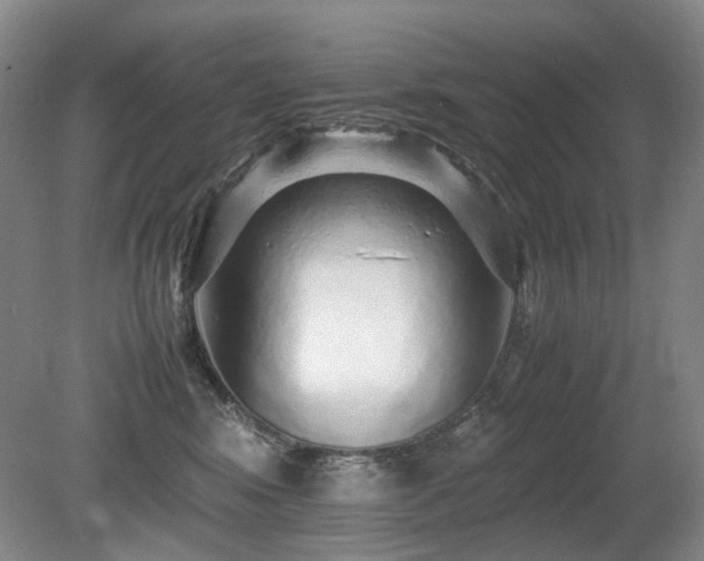 X0000080680424200612151228