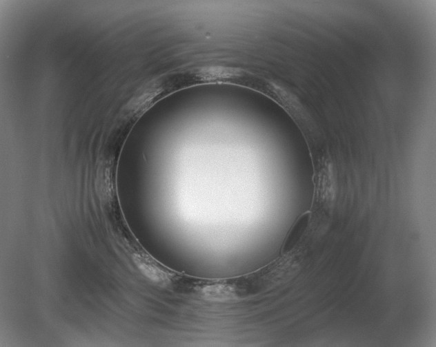 X0000080680426200612151228