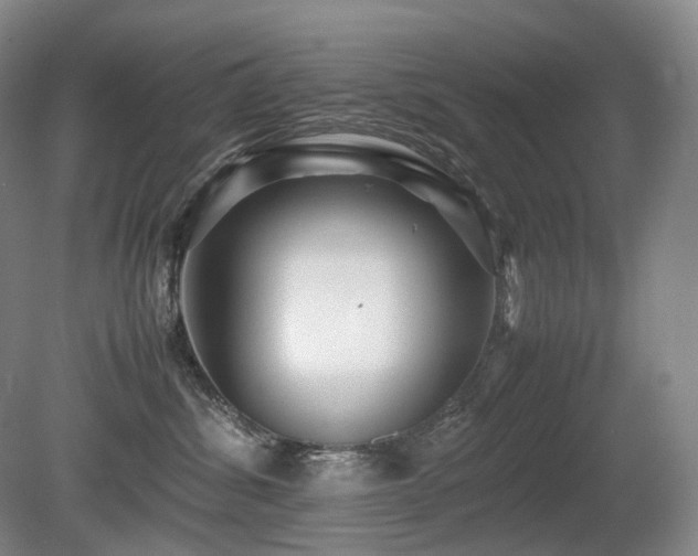 X0000080680428200612151228
