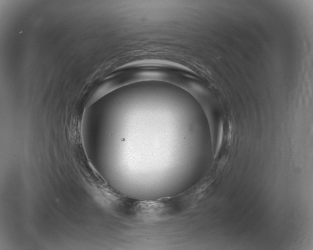 X0000080680429200612151228