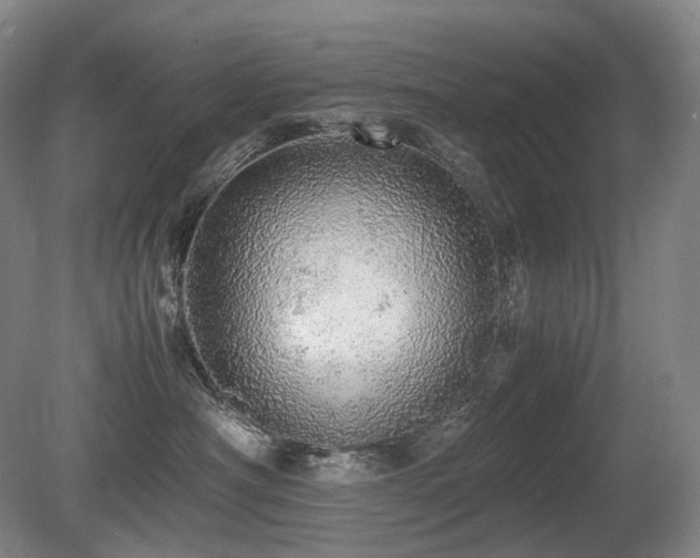 X0000080680430200612151228