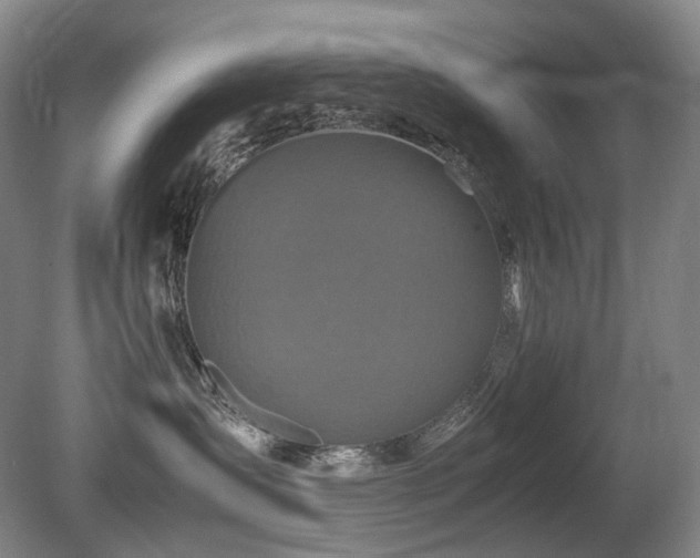 X0000080680431200612151228
