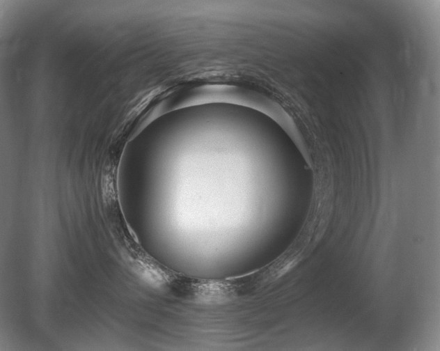 X0000080680432200612151228