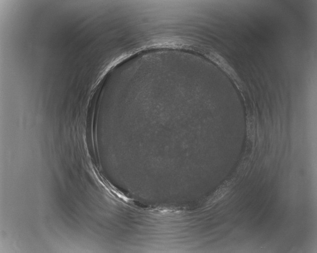 X0000080680434200612151227
