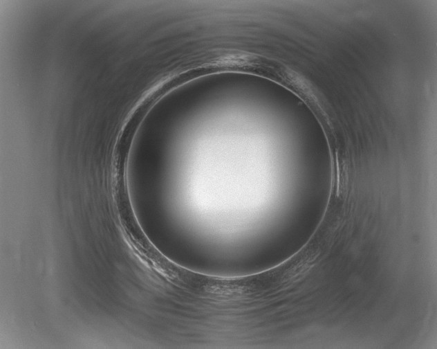 X0000080680435200612151227