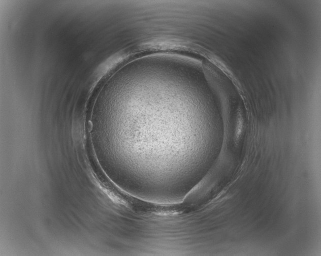 X0000080680438200612151227
