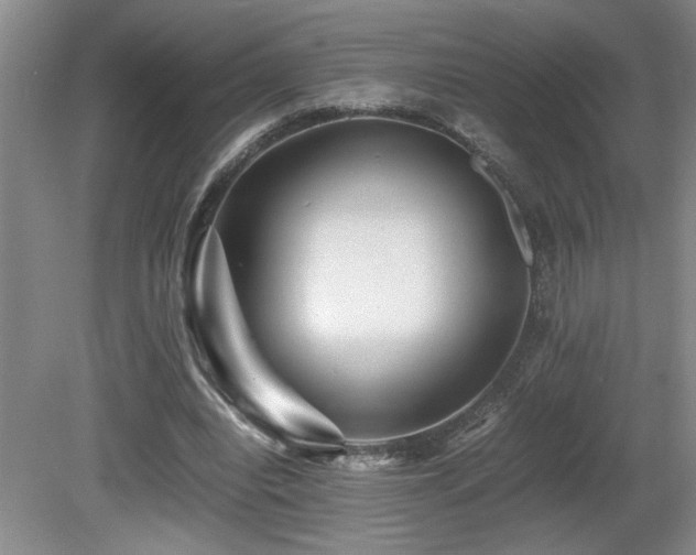 X0000080680440200612151227
