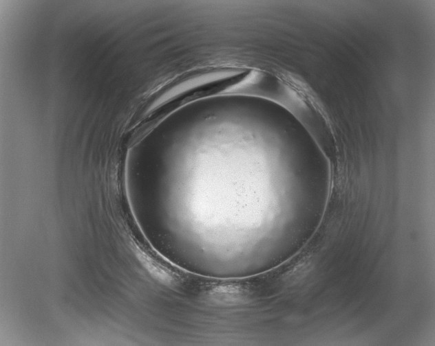 X0000080680441200612151227