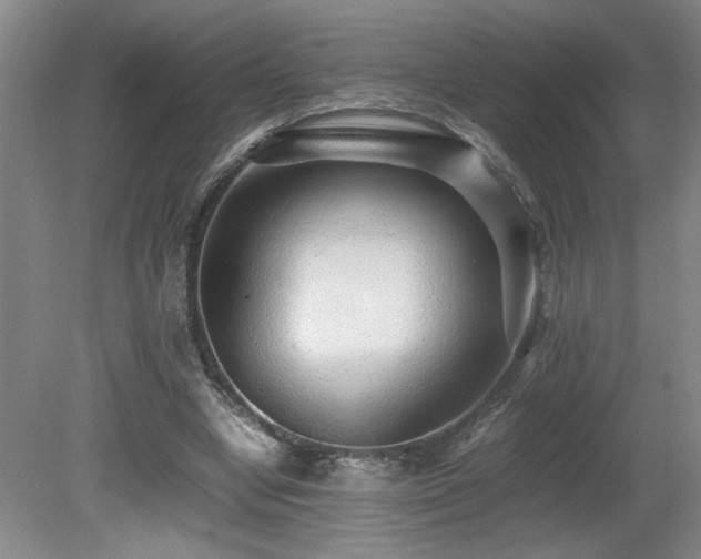 X0000080680442200612151227