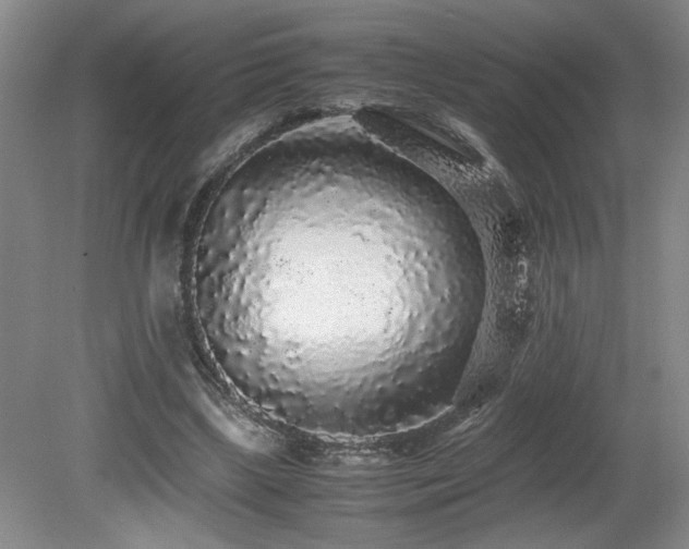 X0000080680443200612151227