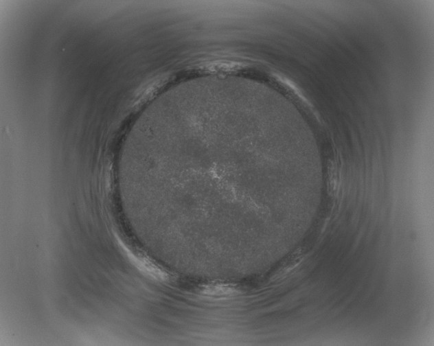 X0000080680451200612151227