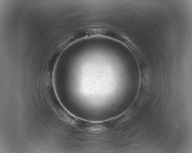X0000080680459200612151227