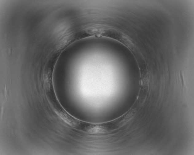 X0000080680460200612151227