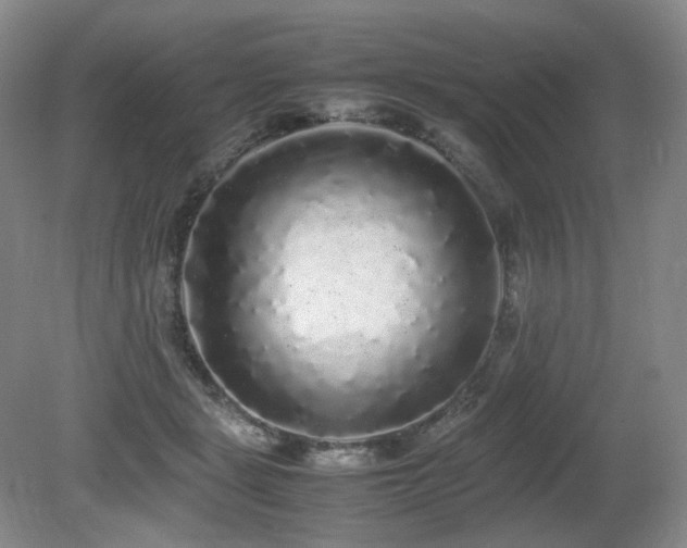 X0000080680461200612151227