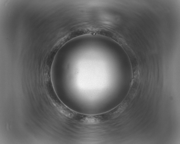 X0000080680464200612151227