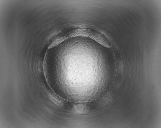 X0000080680470200612151227
