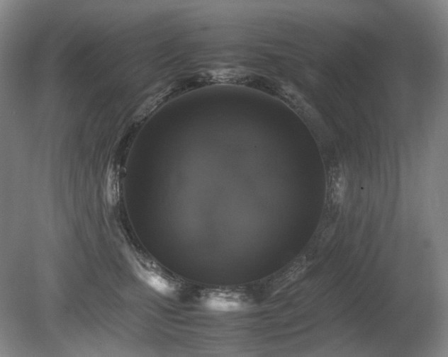 X0000080680471200612151227