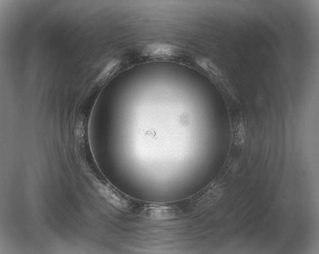 X0000080680472200612151227