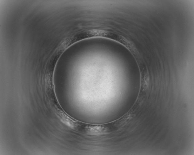 X0000080680473200612151227