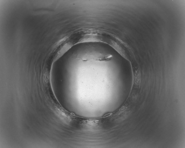 X0000080680474200612151227