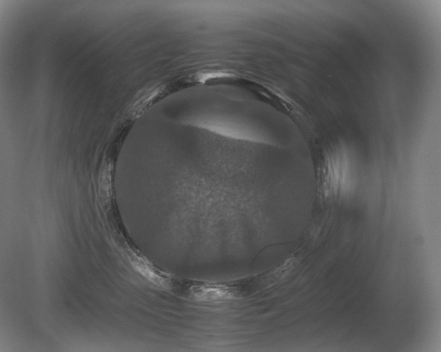 X0000080680475200612151227