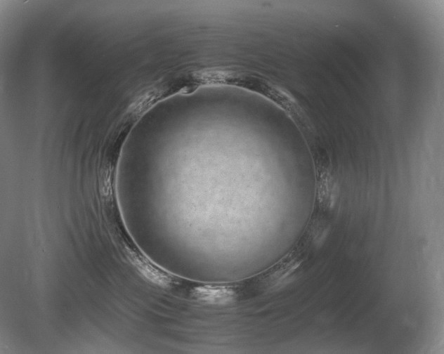 X0000080680477200612151227
