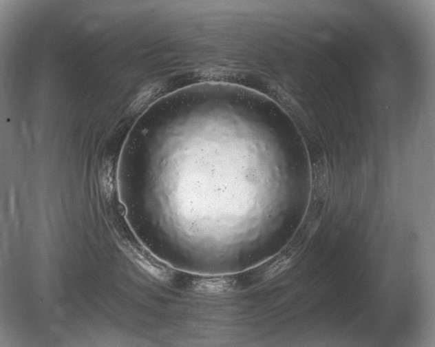 X0000080680479200612151227