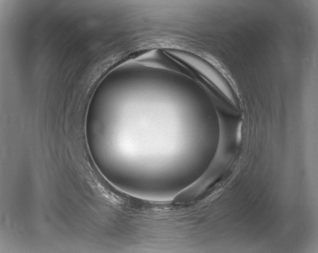 X0000080680481200612151227