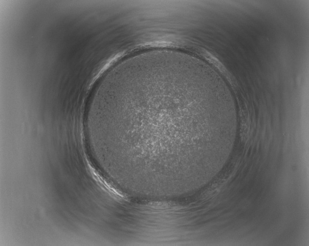 X0000080680482200612151227
