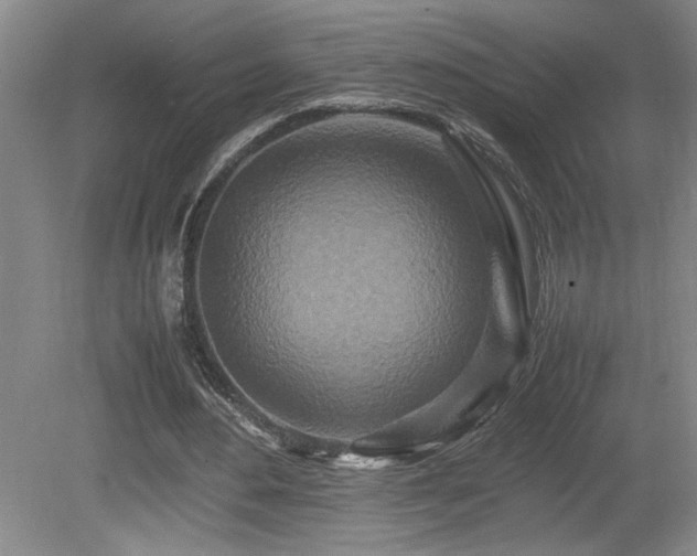 X0000080680484200612151227