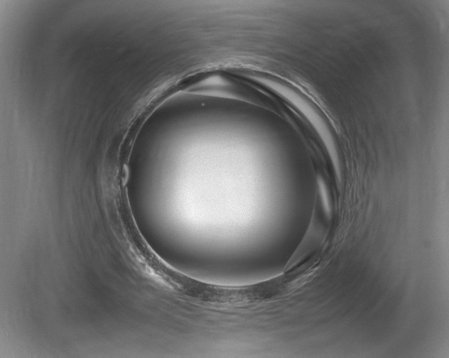 X0000080680485200612151227