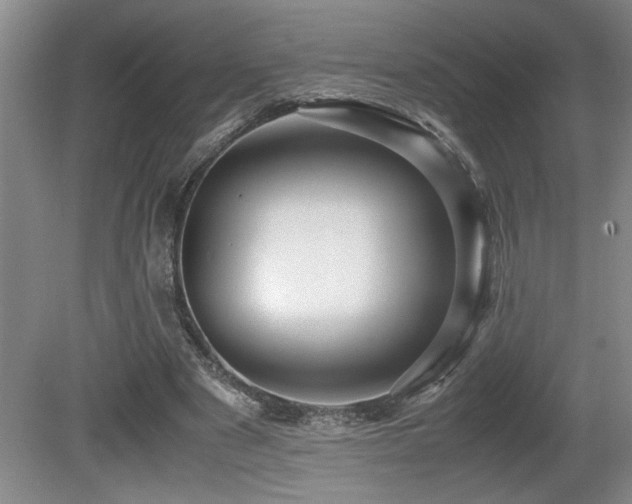 X0000080680489200612151227