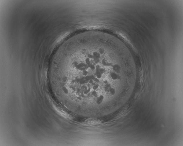 X0000080680491200612151227