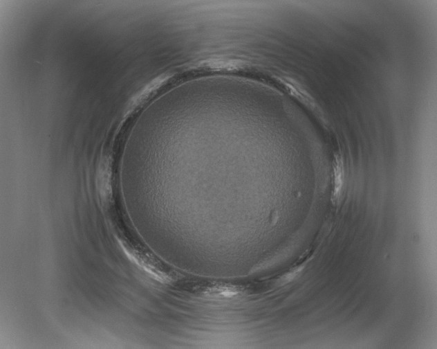 X0000080680492200612151227